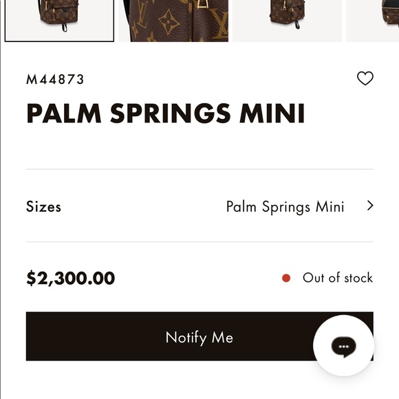 Authentic Louis Vuitton Palm Springs mini - Picture 13 of 16